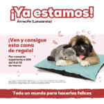 Promo Kiwoko cama para mascota GRATIS en la compra de 50€