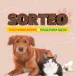 Sorteo Alcampo: Gana 1 pack para perro o 1 pack para gato