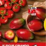 Folleto DIA del 22 al 28 de mayo 2024