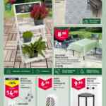 Aldi folleto semanal del 5 al 11 de junio 2024