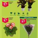 Aldi folleto semanal del 5 al 11 de junio 2024