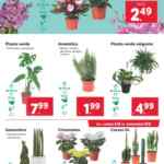 Lidl folleto semanal del 3 al 9 de junio 2024
