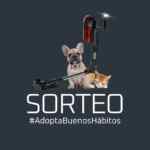 Concurso Rowenta: Gana un Aspirador escoba Rowenta X-Force Flex