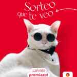 Sorteo Que Te Veo General Óptica: Gana una tarjeta de 150€