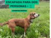 Sorteo Día Mundial de los Animales Iberdrola: Gana una escapada para dos personas