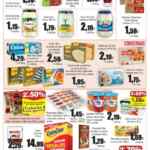 Folleto Froiz del 29 de octubre al 18 de noviembre 2024