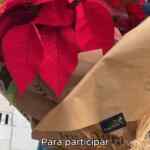 Sorteo Chocolates Trapa: Gana un pack de "Magia Navideña"