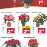 Lidl folleto semanal del 2 al 8 de diciembre 2024