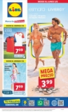 Folleto Lidl Bazar del 3 al 9 de junio 2024