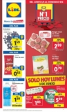 Lidl folleto semanal del 3 al 9 de junio 2024