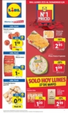 Lidl folleto semanal del 27 de mayo al 2 de junio 2024