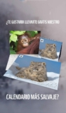 WWF España calendario 2023 Gratis al hacer una donación